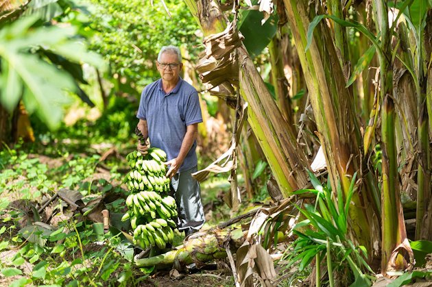 a man standing next to a bunch of bananas