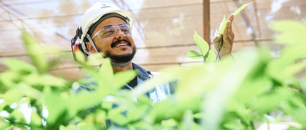 a person in a white helmet in a greenhouse